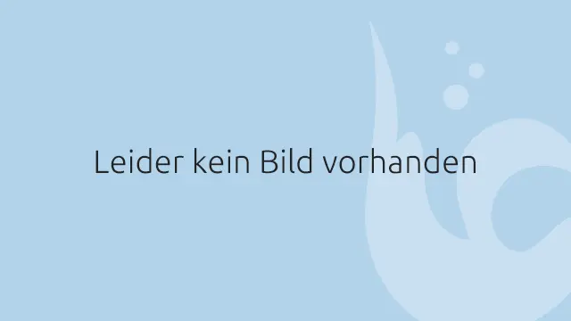 Platzhaltergrafik mit der Information, dass kein Bild vorhanden ist.